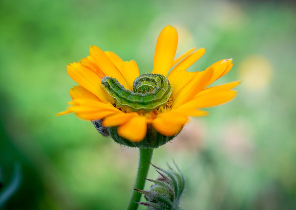 Photograph by Артём Буц