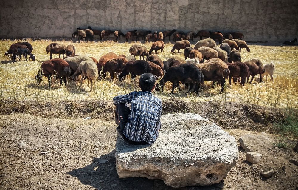 Photograph by safoura asghari