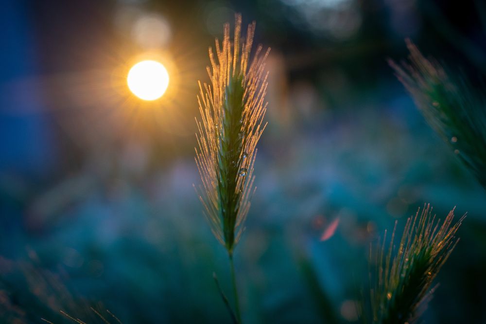 Photograph by Артём Буц