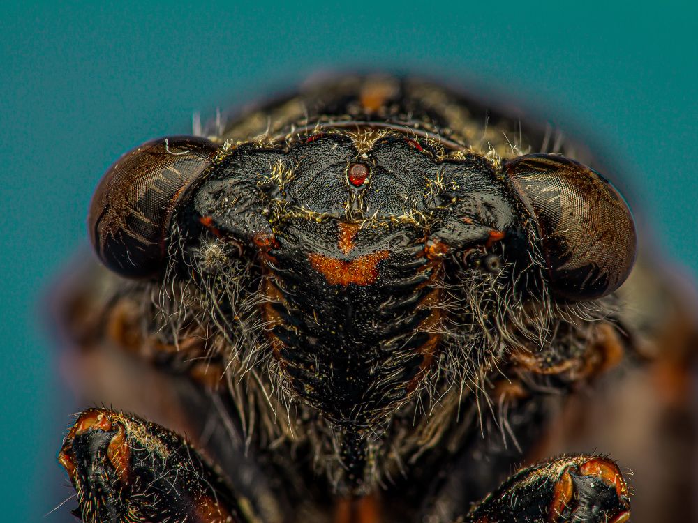 Photograph by Jakub Krysztofiński