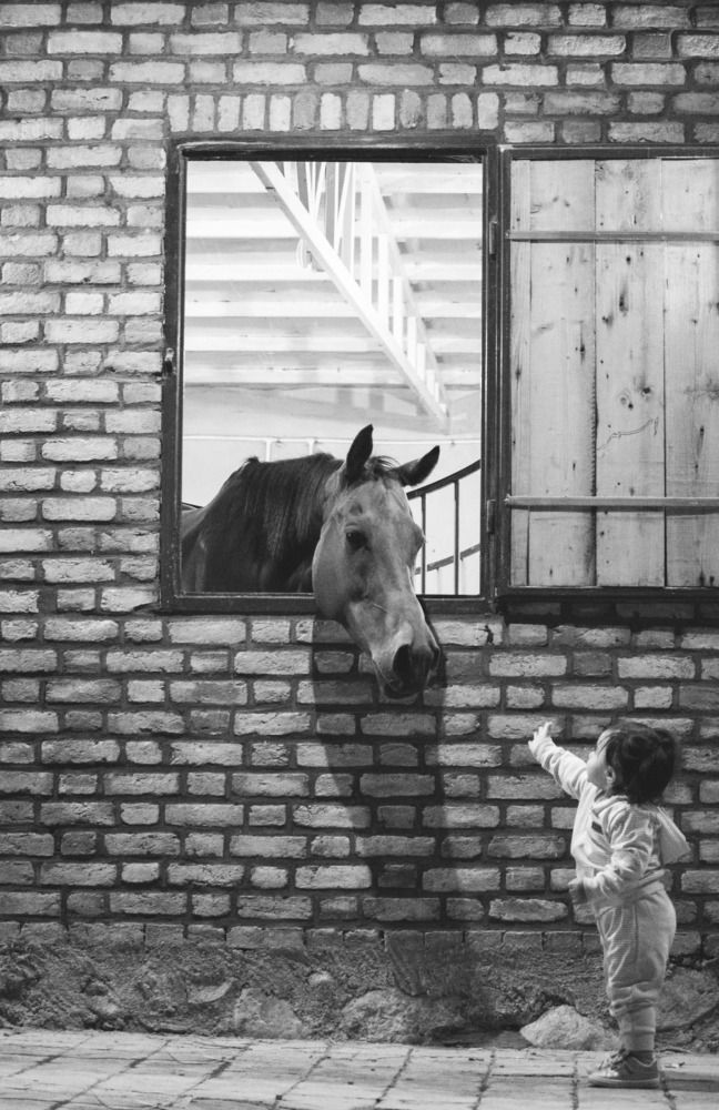 Photograph by javad abolhassani