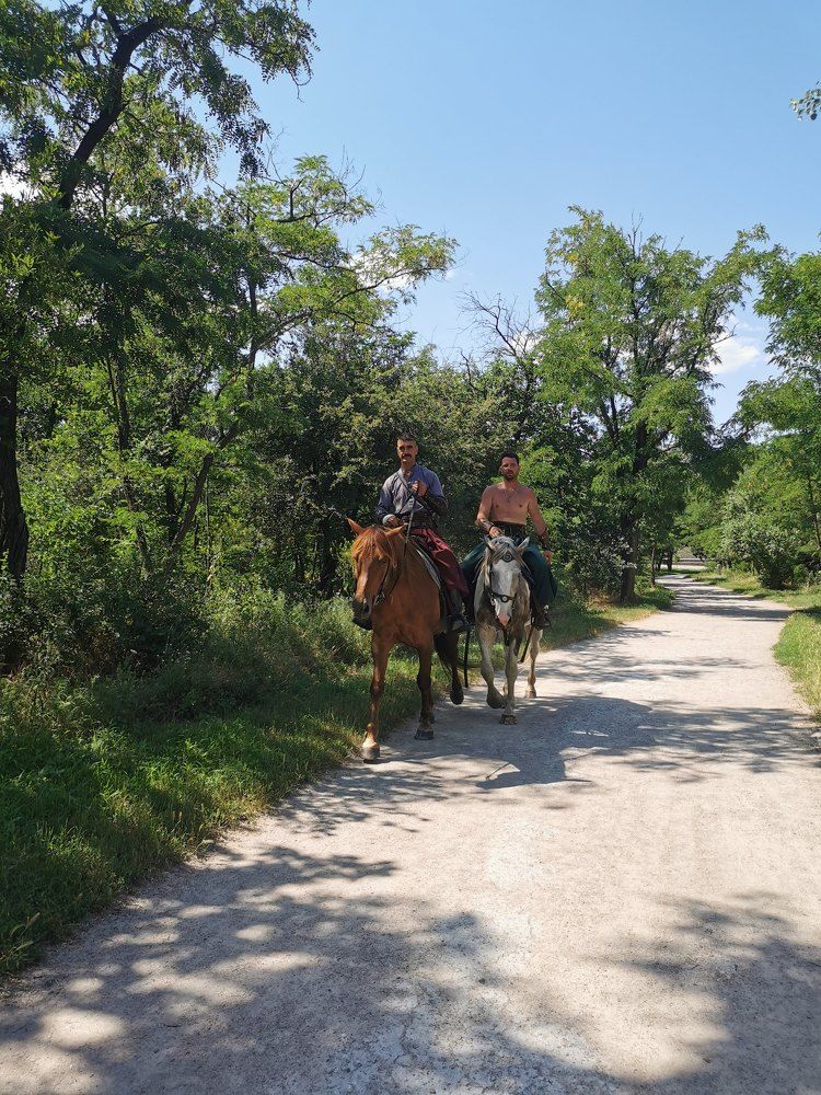 Photograph by Виктория Сорокопуд