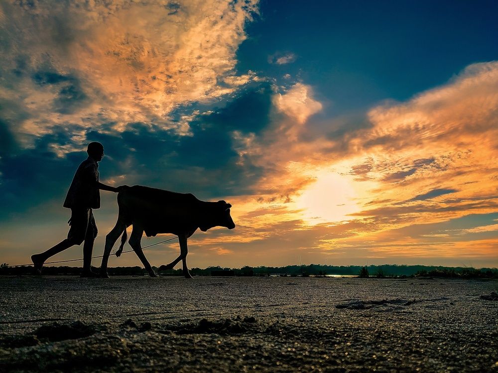 Photograph by pradiptamoy paul