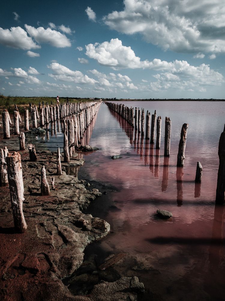 Photograph by Сергей