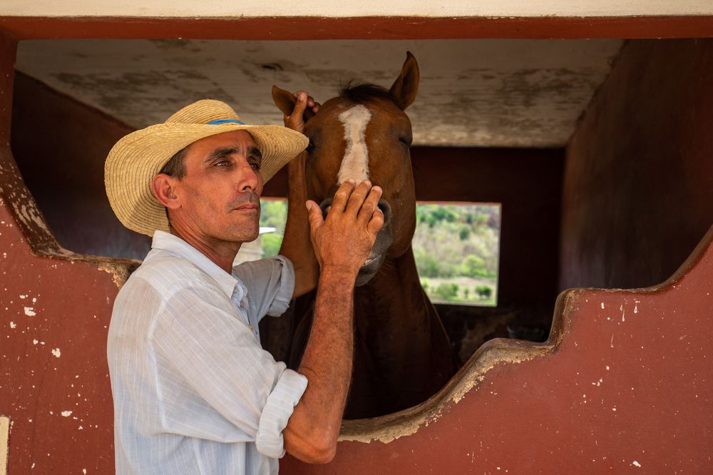Фотография автора Андрей Золотарев