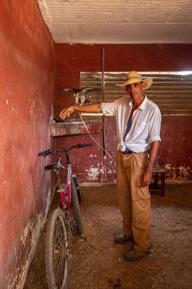 Фотография автора Андрей Золотарев