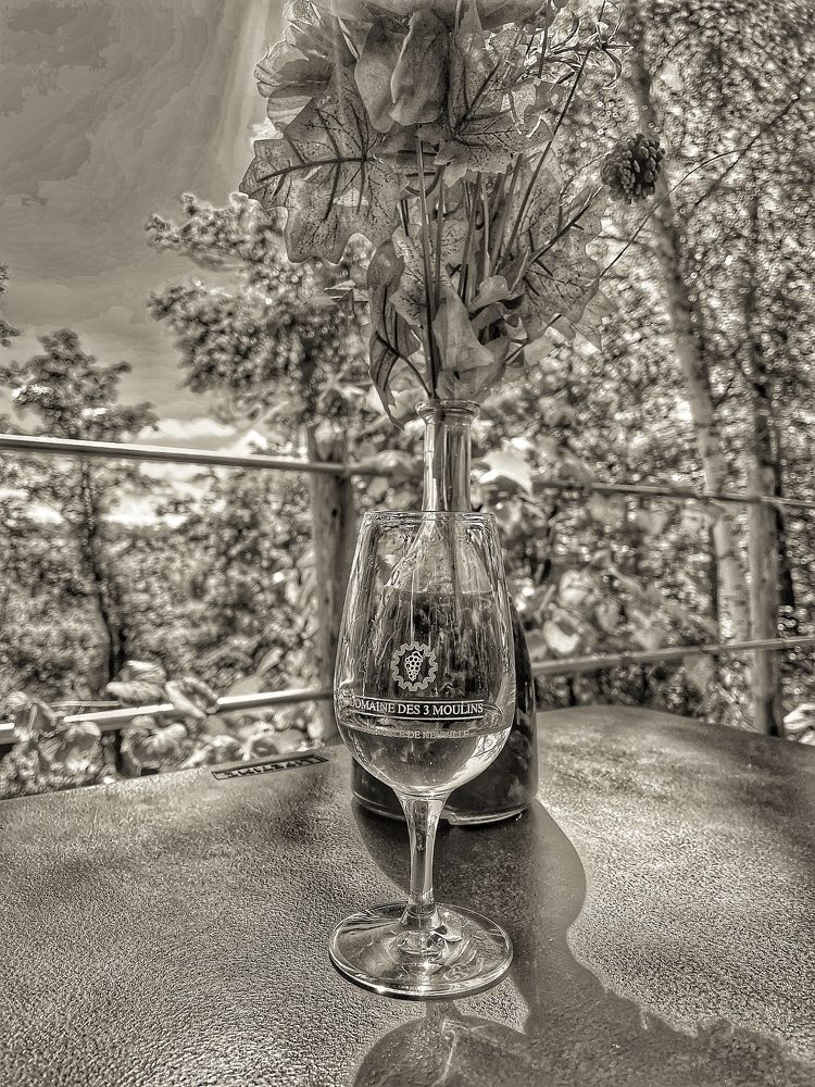 Vignoble des 3 moulins