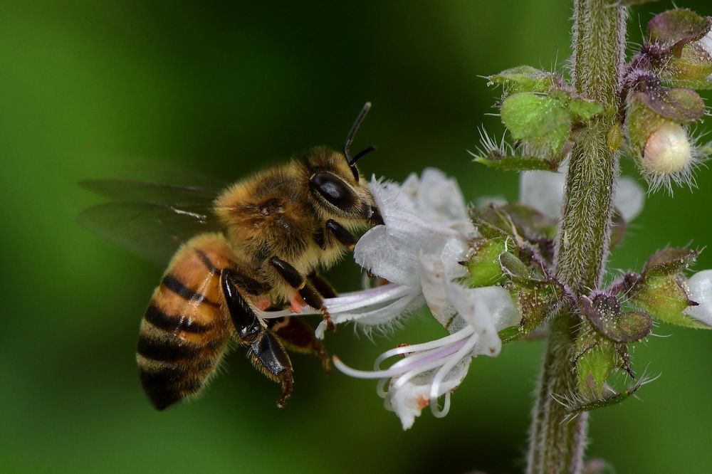 Photograph by Moura Denis