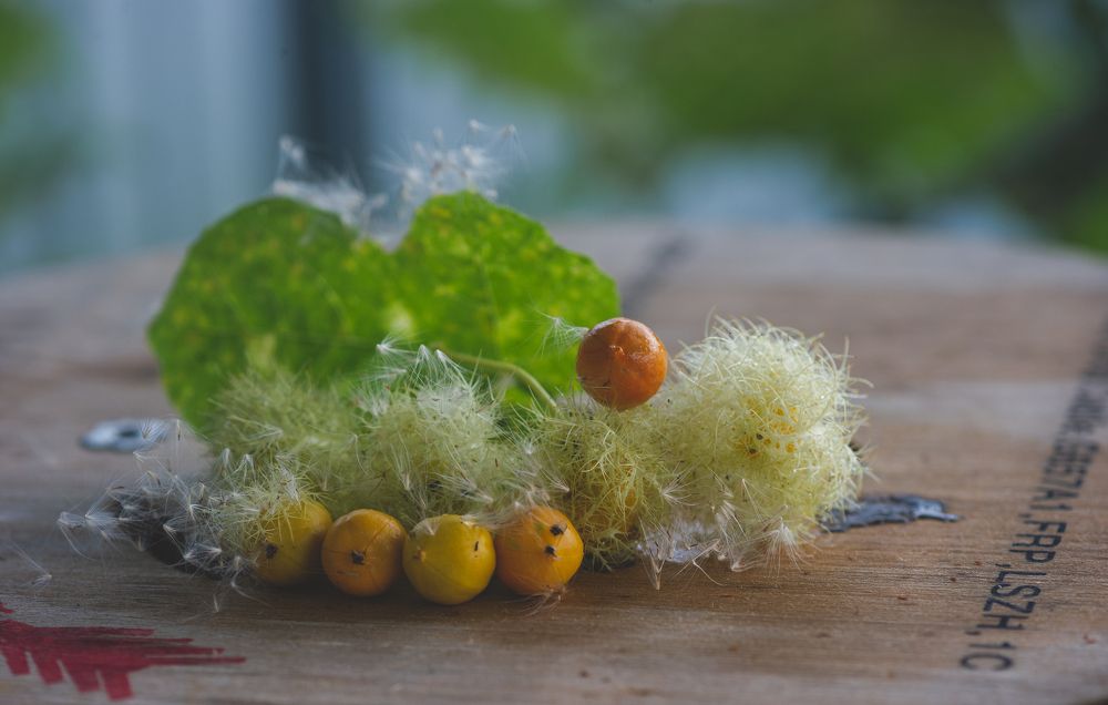 Photograph by Nunong Tindin