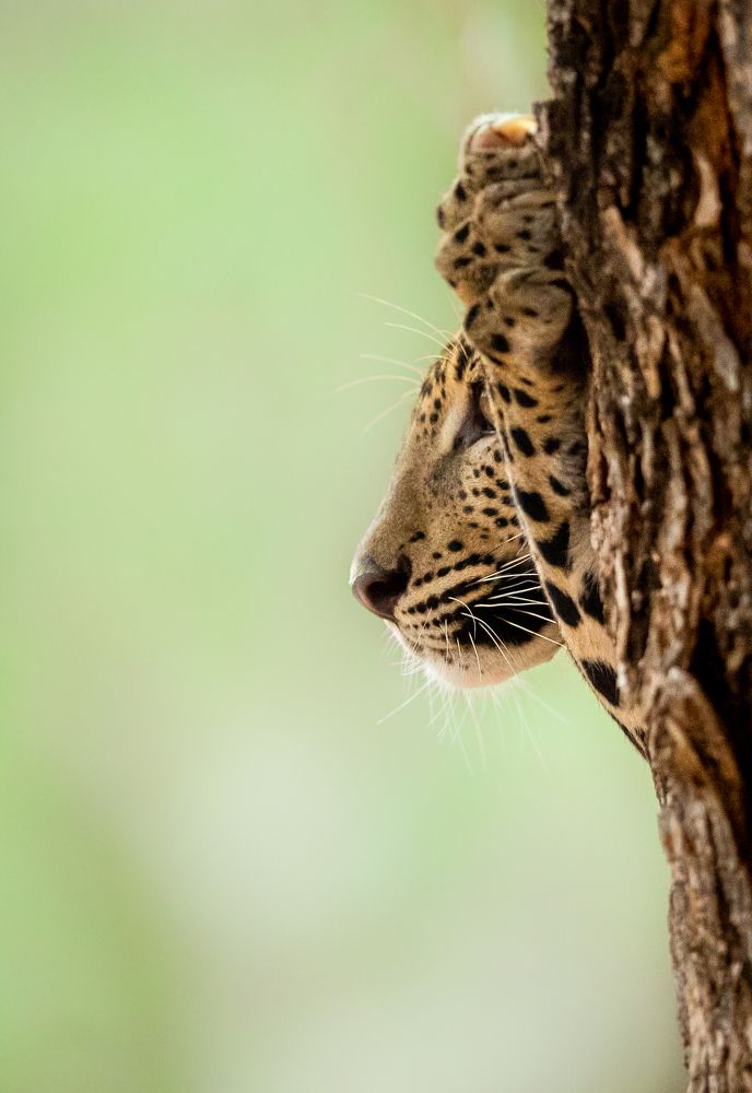 Photograph by Kalana Wickramasinghe