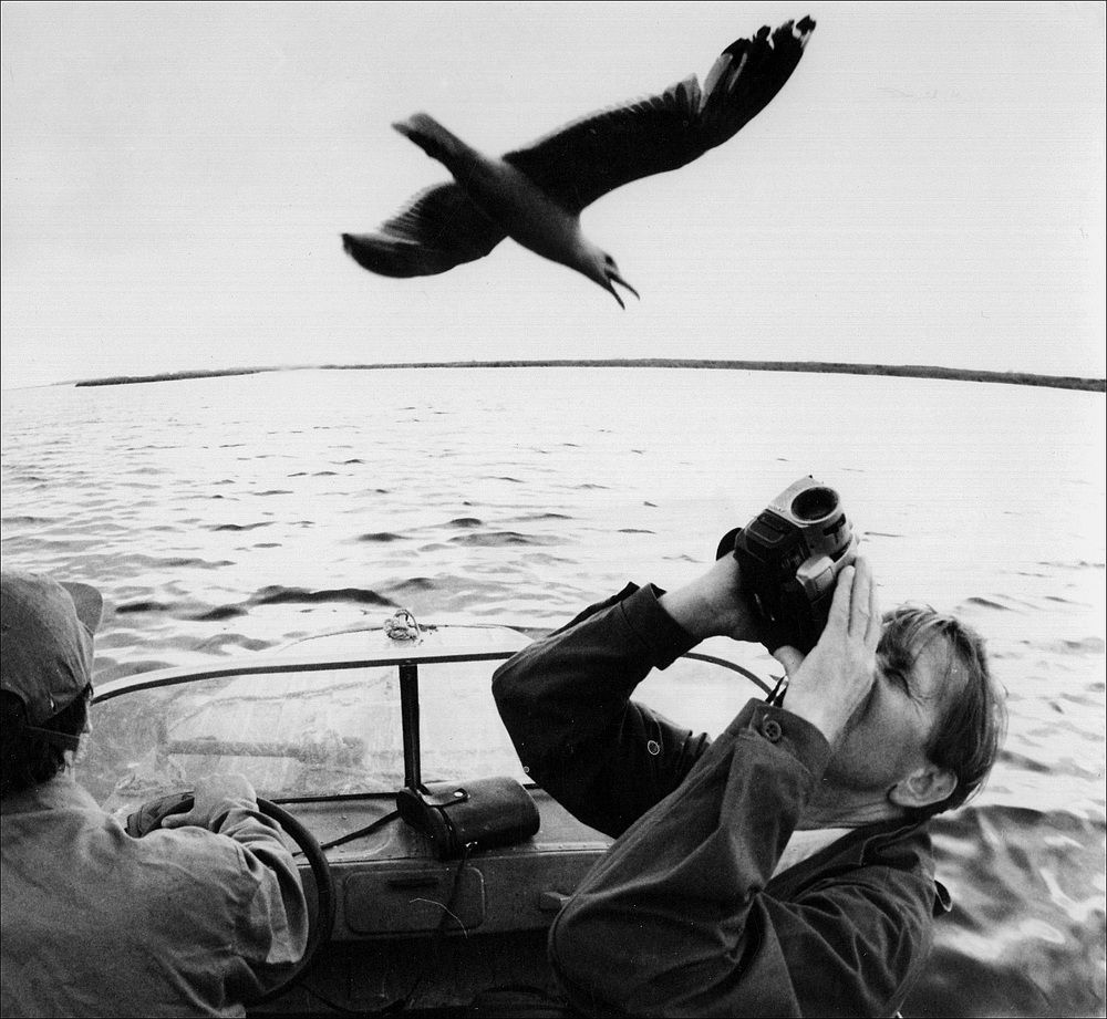 Photograph by Владимир Новиков