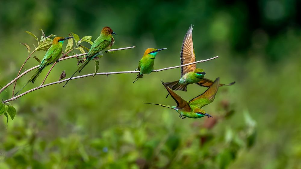 Photograph by Sayan Chatterjee