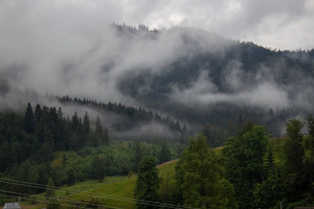 Photograph by Вікторія Бондаренко