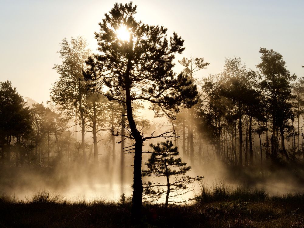 A new day has broken