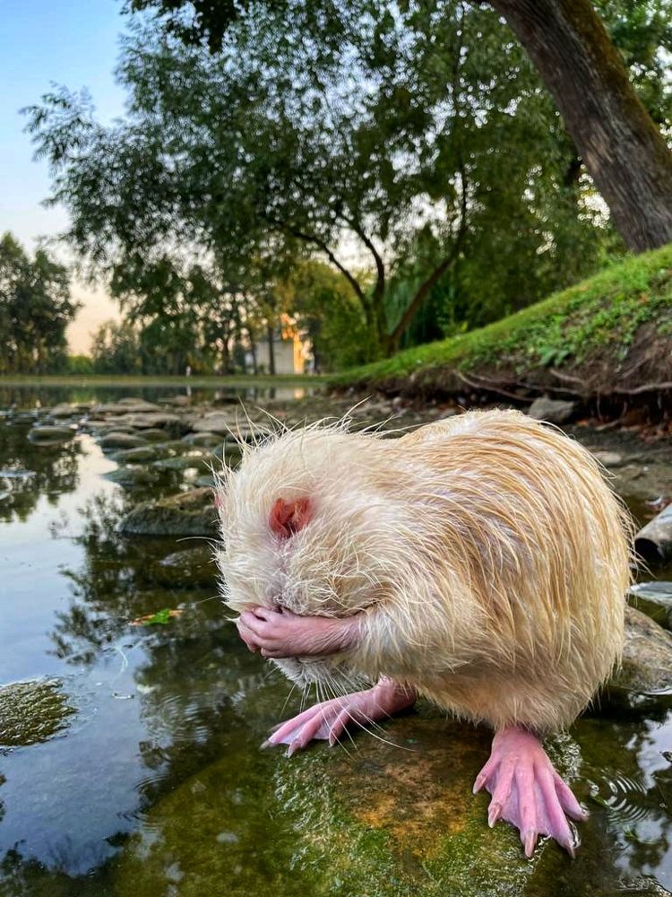 Photograph by Светлана Правдухина