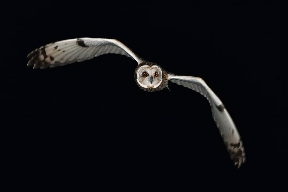 Photograph by Вячеслав Ладанов