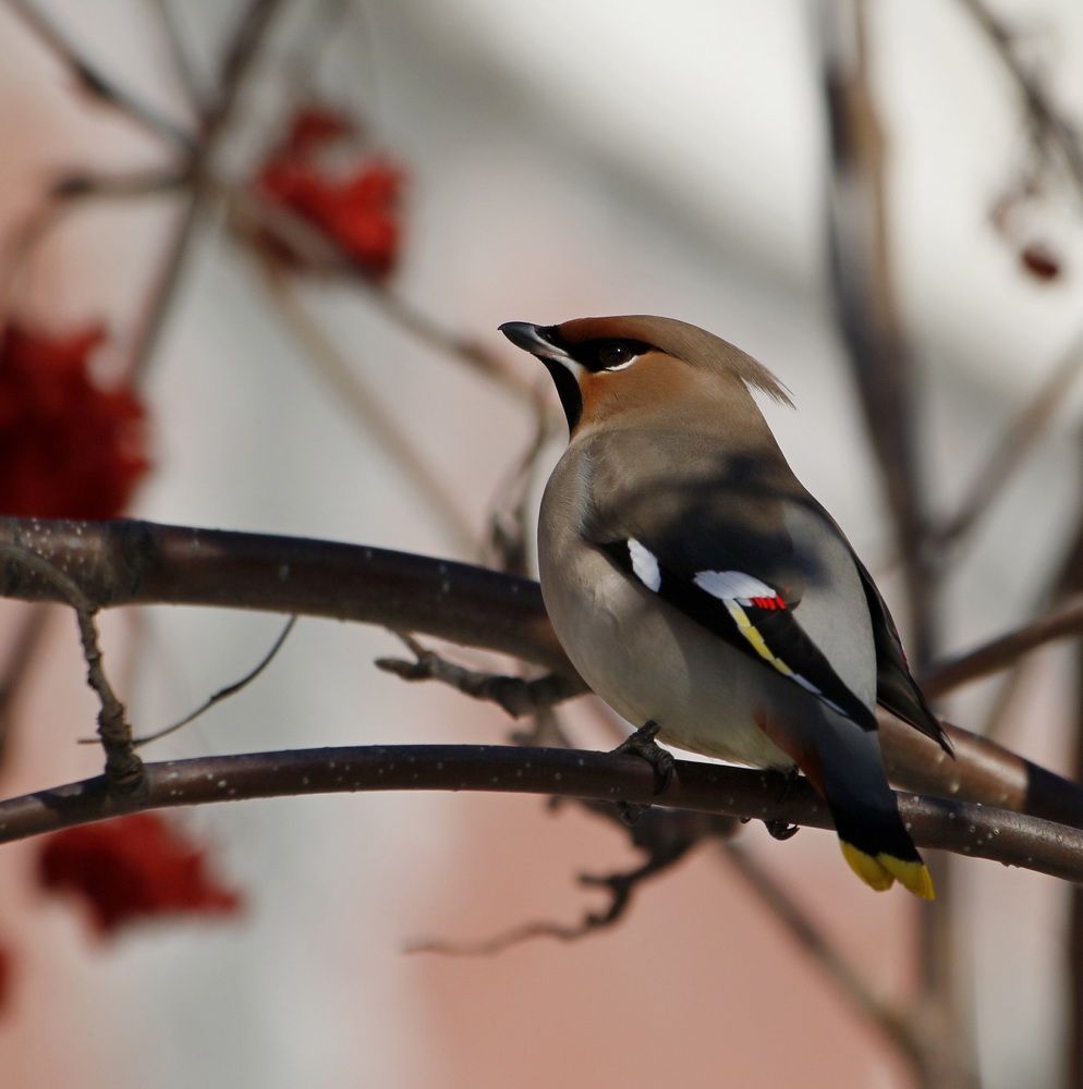 Photograph by Наталья Турчик