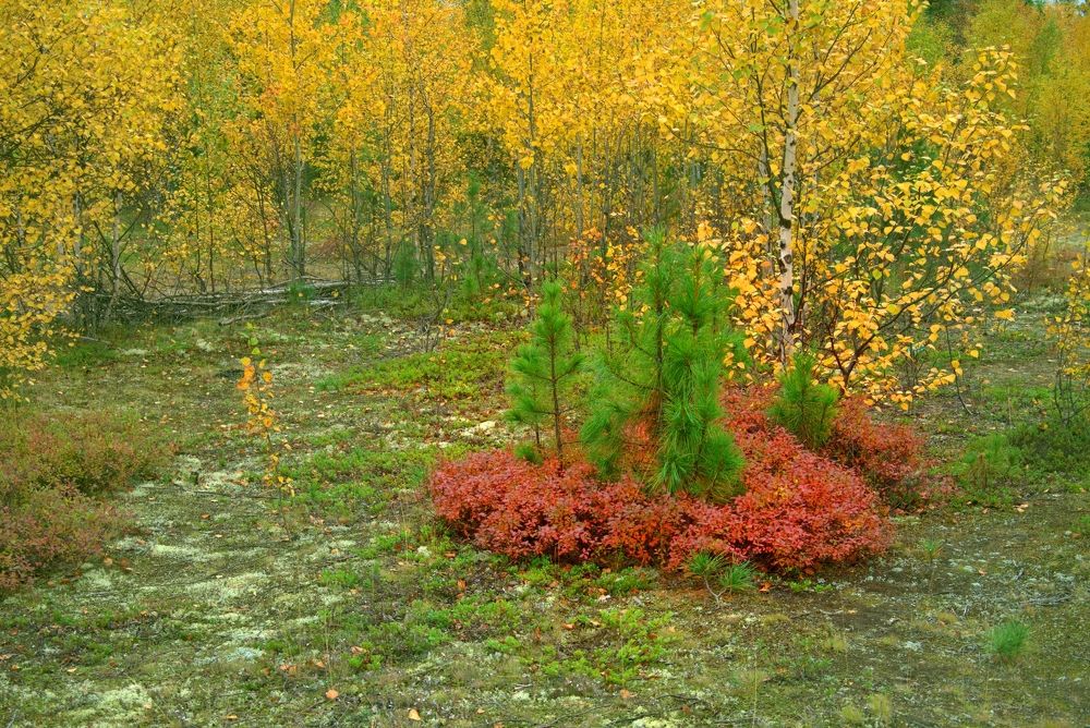 Photograph by Николай Почкалов