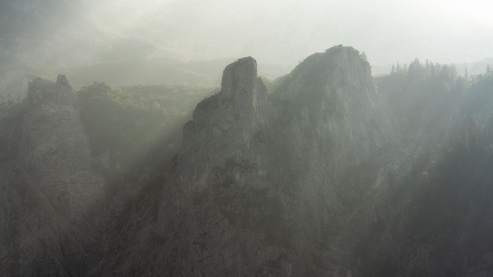 Photograph by Andy Fowlie