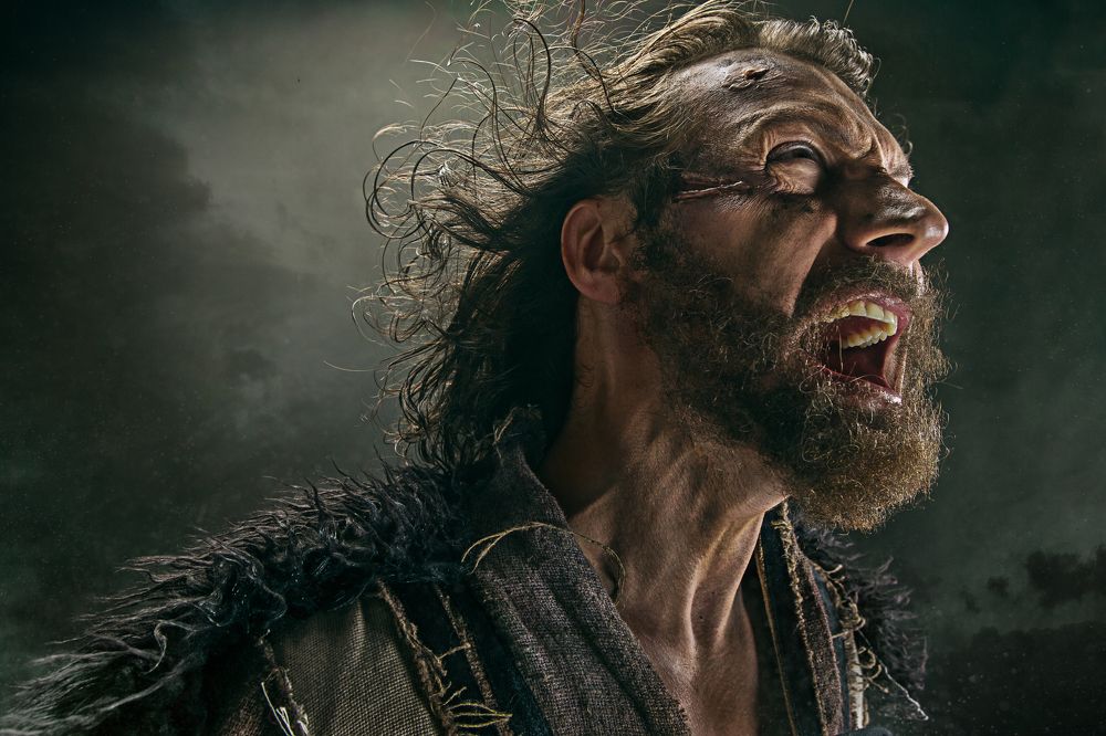 Photograph by Lustre