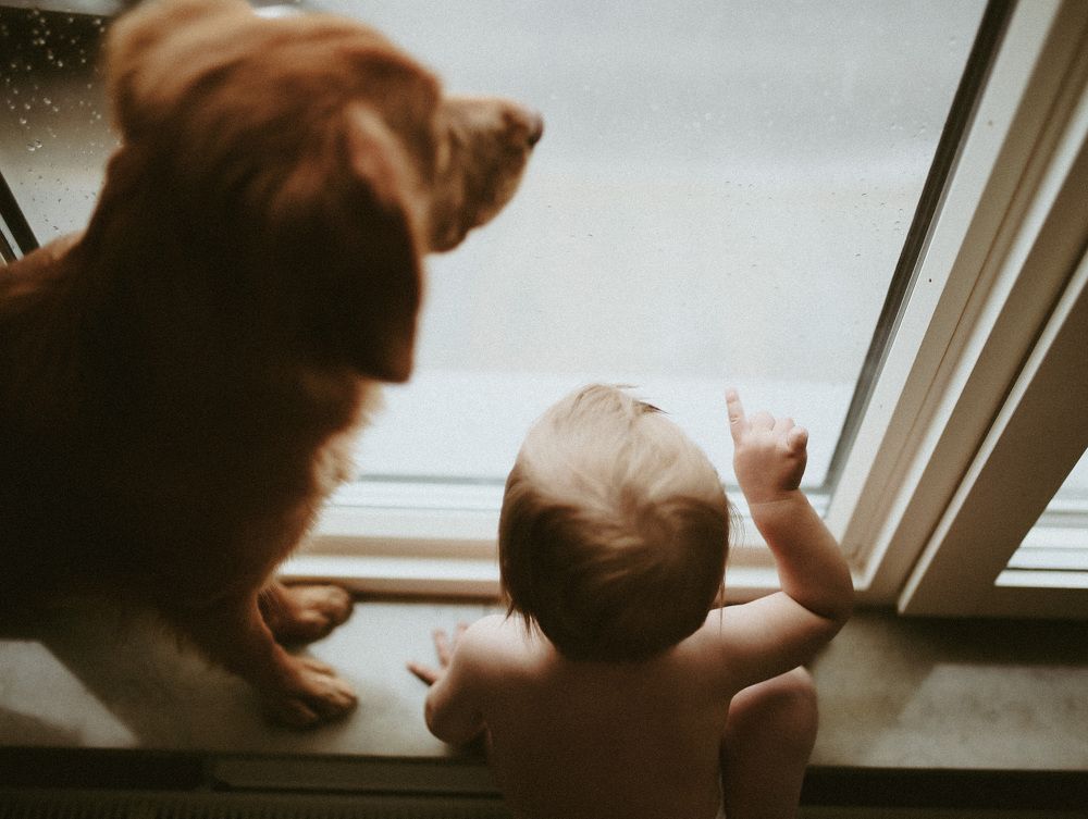 Photograph by Sophie Haek