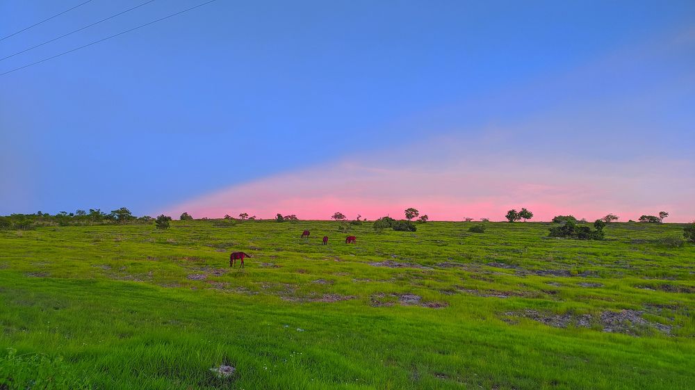 Nature