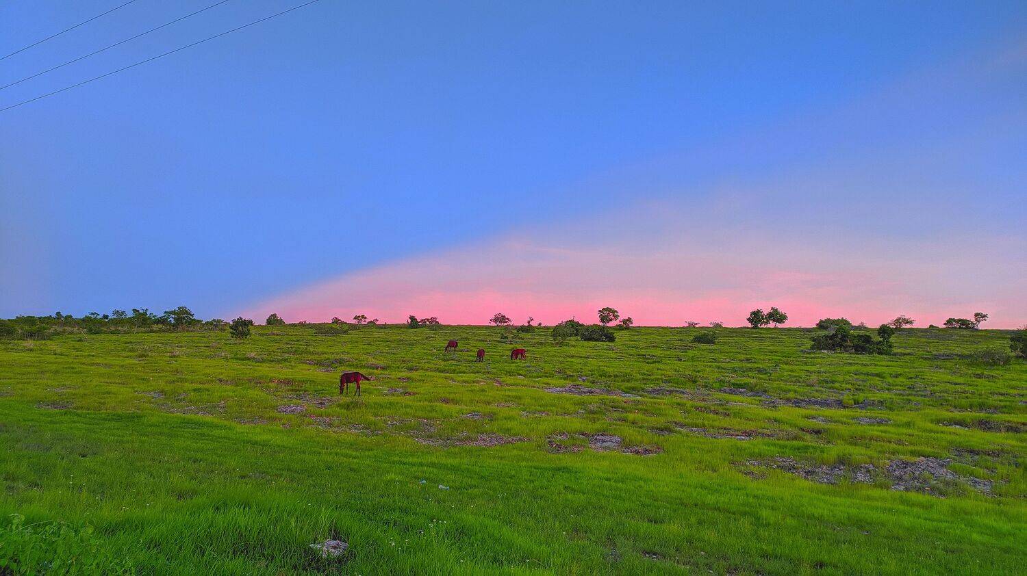 Nature