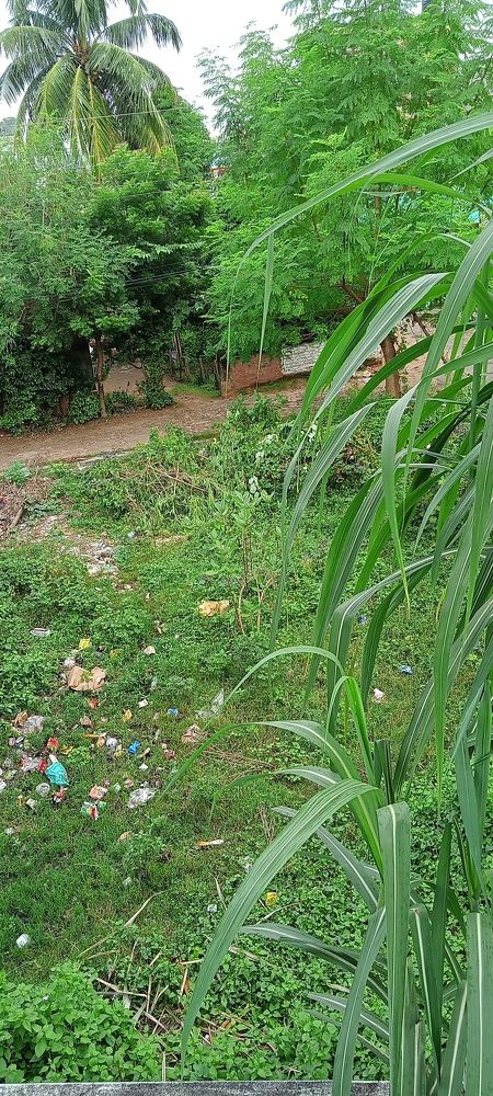 Photograph by Mamata Sharma