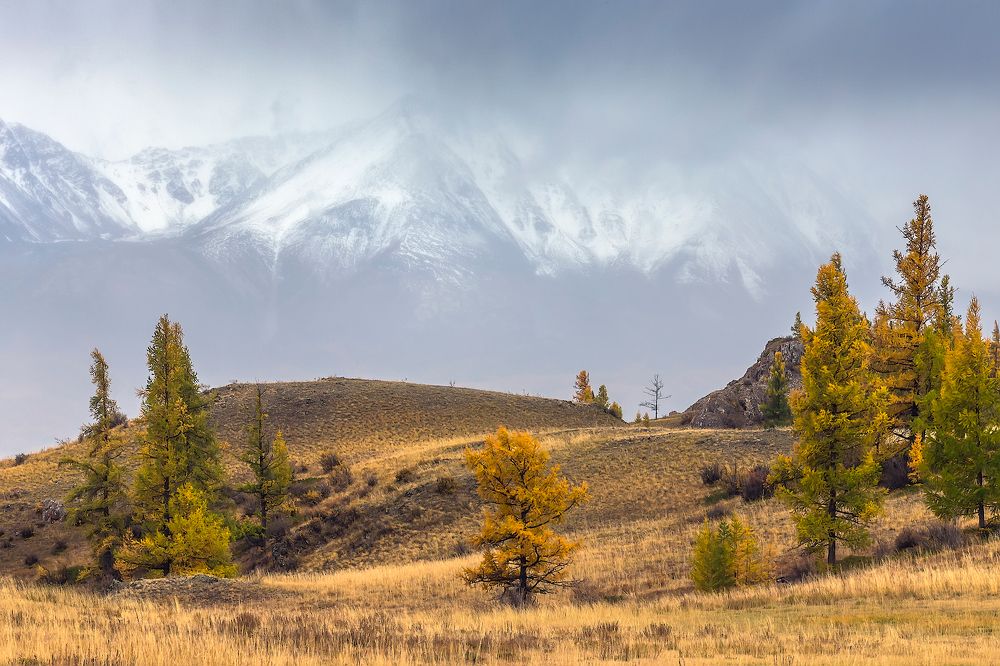 Photograph by Ярослав Лукьянов