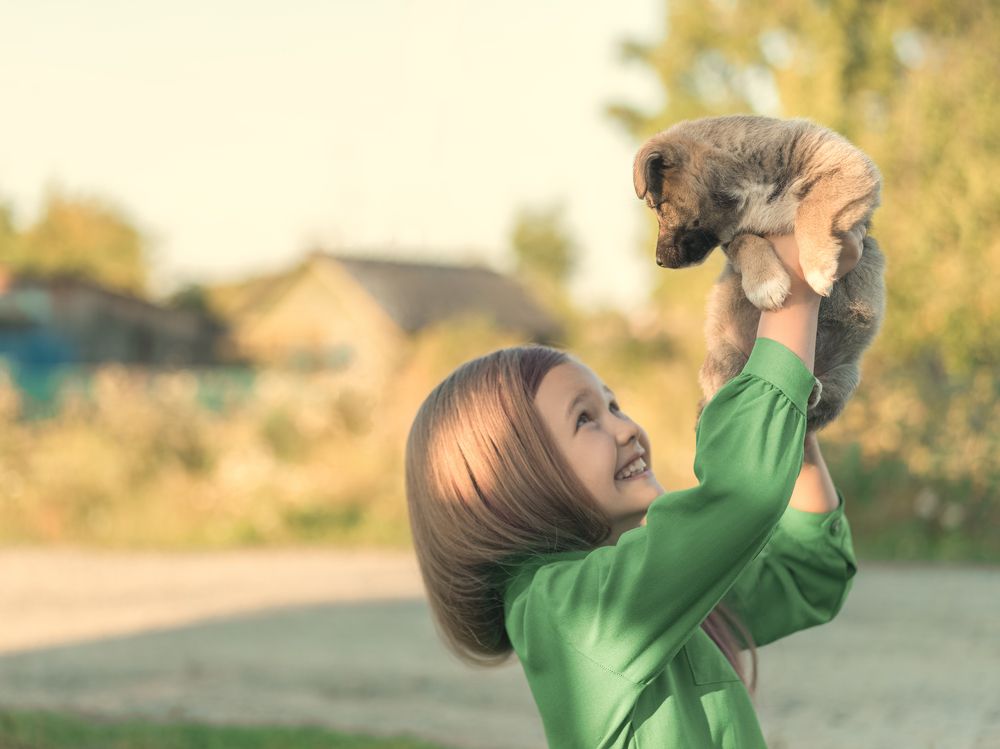 Радостная встреча