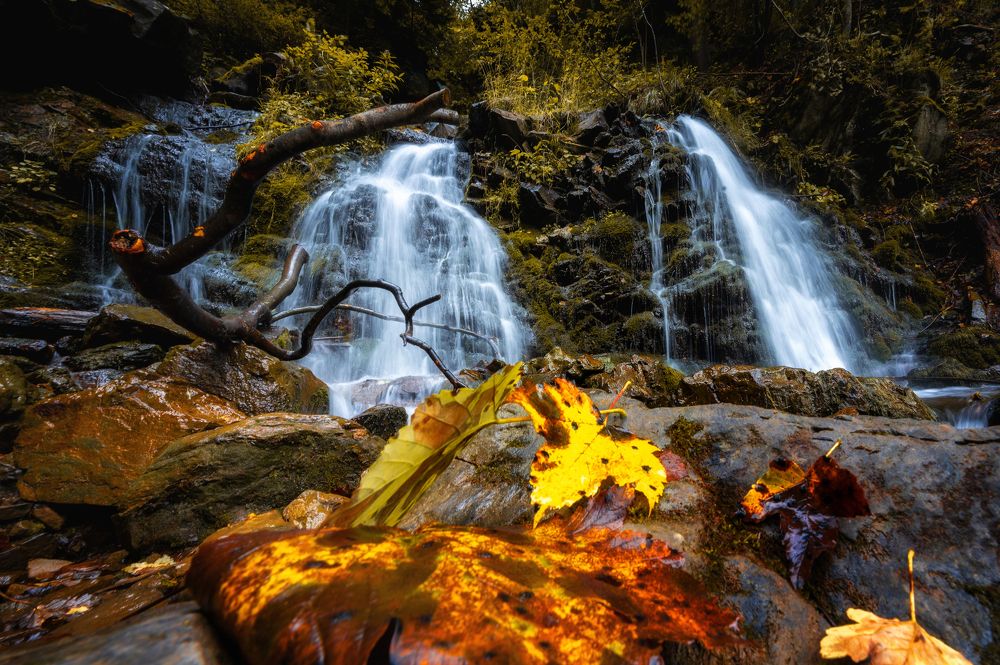 Photograph by Юрий Бершадский