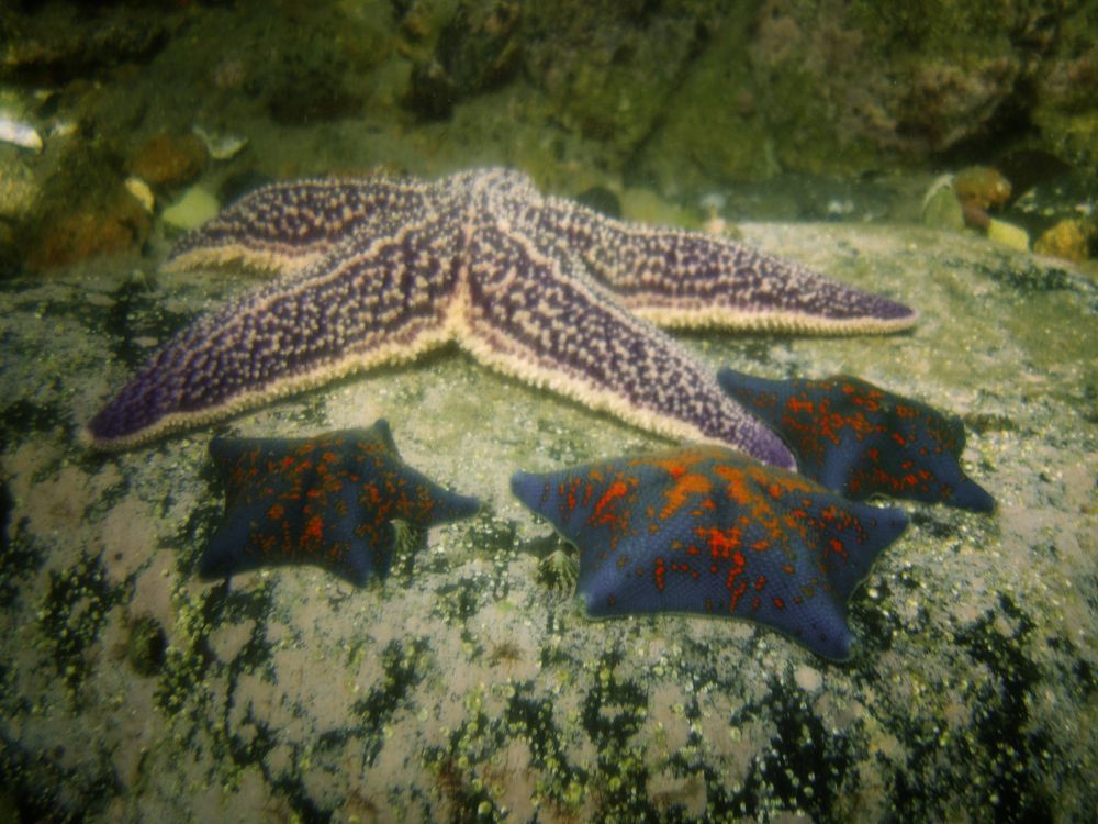 Photograph by Виктор Егоров