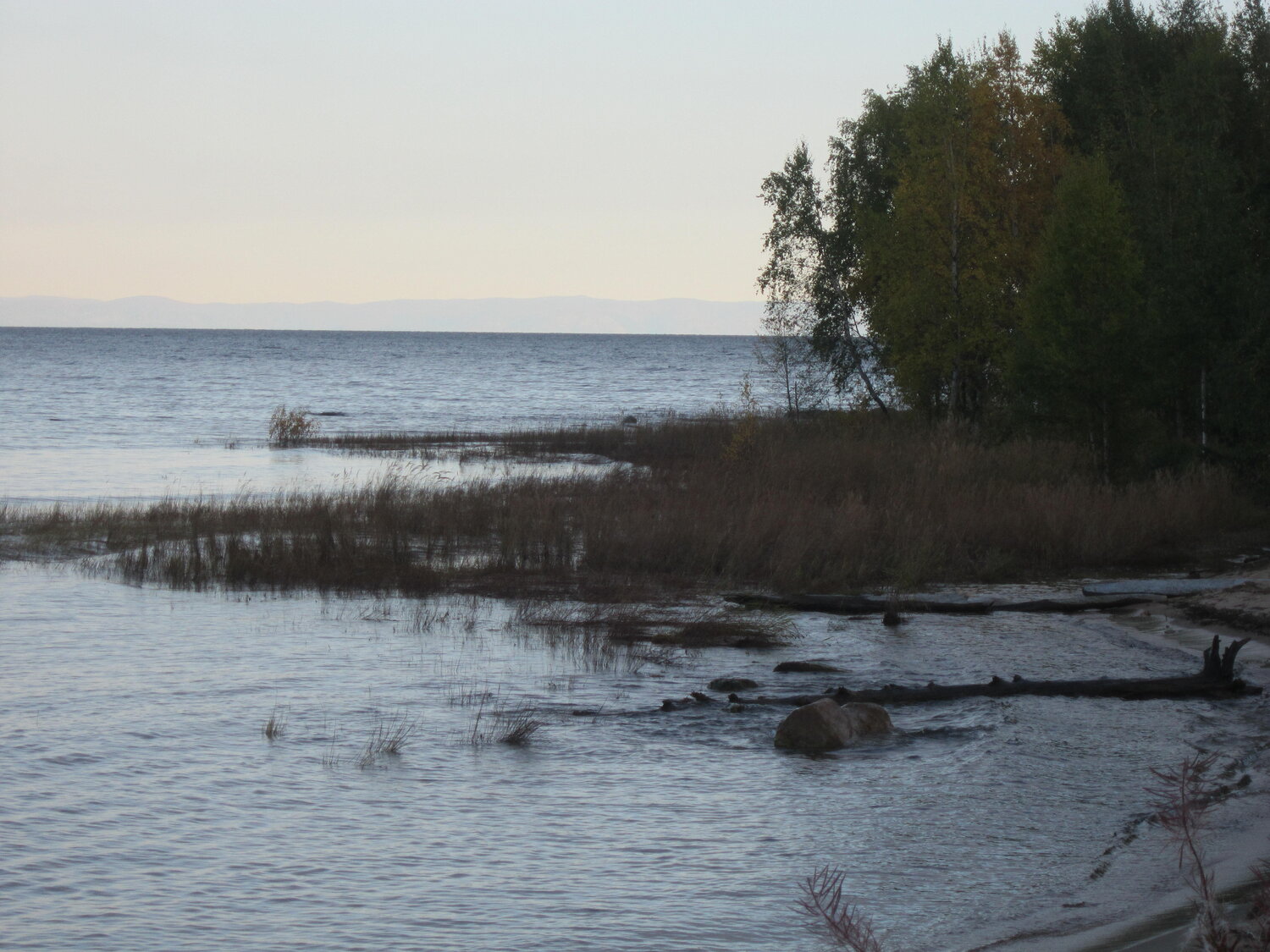 Photo #6514397