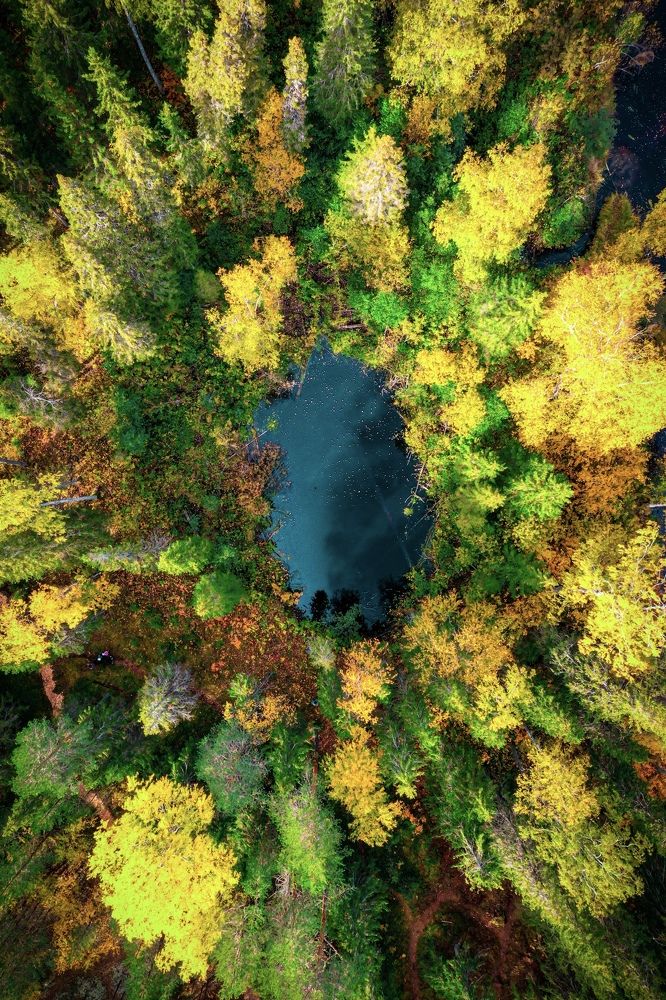 Photograph by Денис Гончаренко