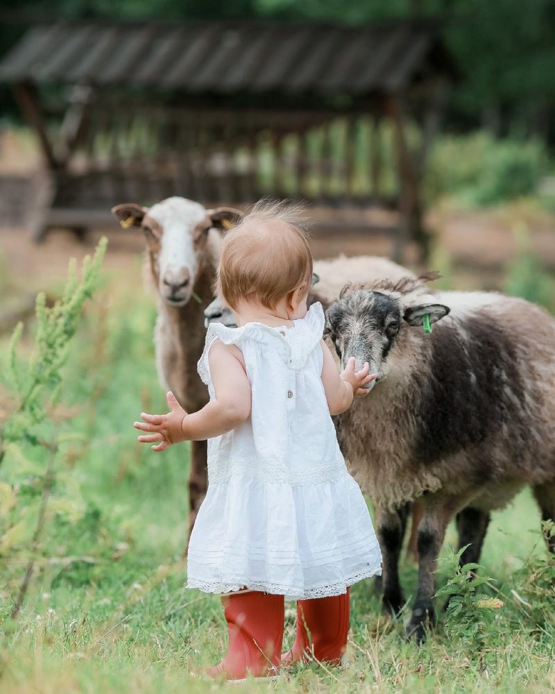 Photograph by Sophie Haek