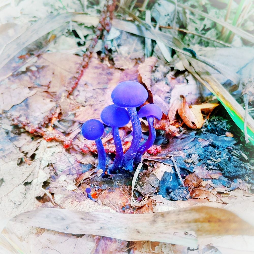 Photograph by Николай Ковальчук