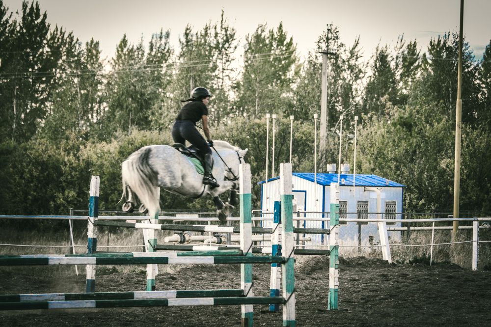 Photograph by Эльвира Суслова