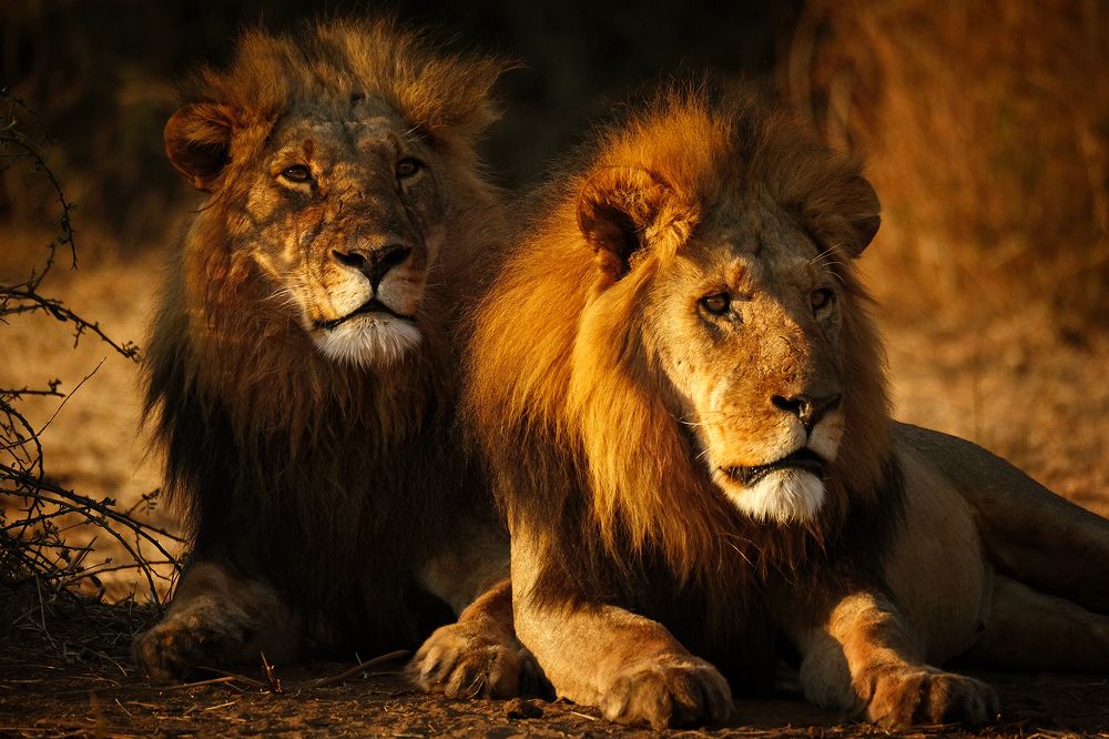 Photograph by Ирина Худзинская