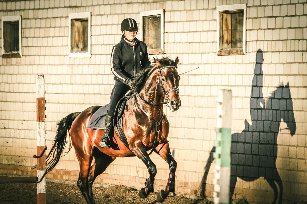 Photograph by Эльвира Суслова