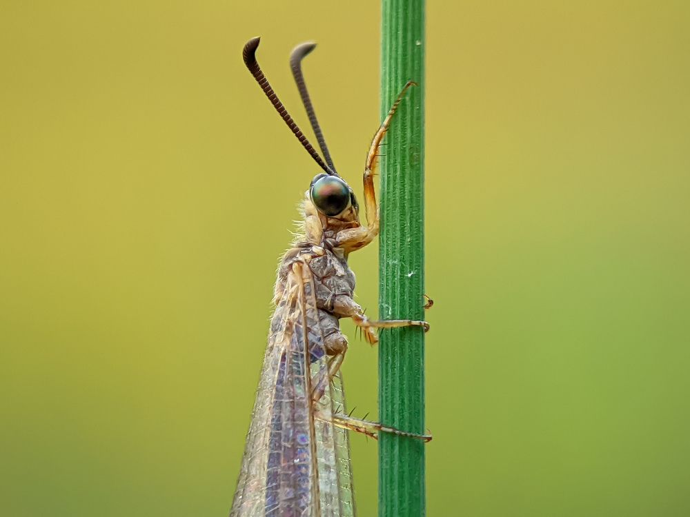 Photograph by pathum Sanjula