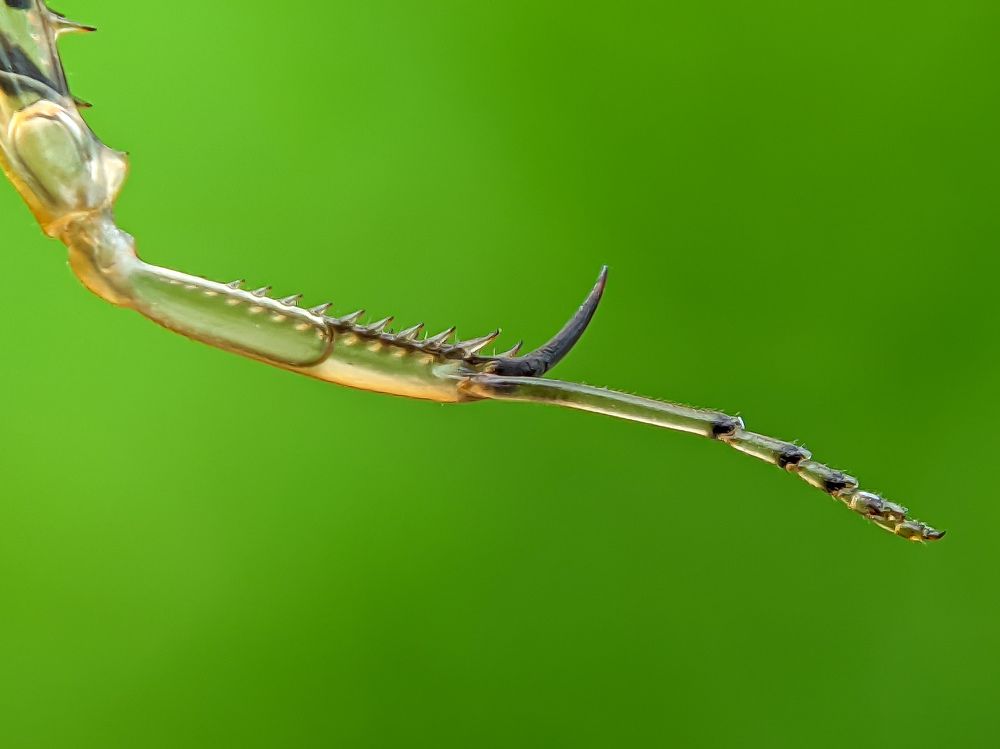 Photograph by pathum Sanjula