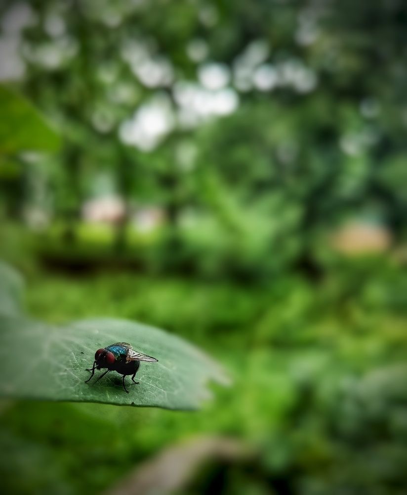 Photograph by Venkatesh Rao