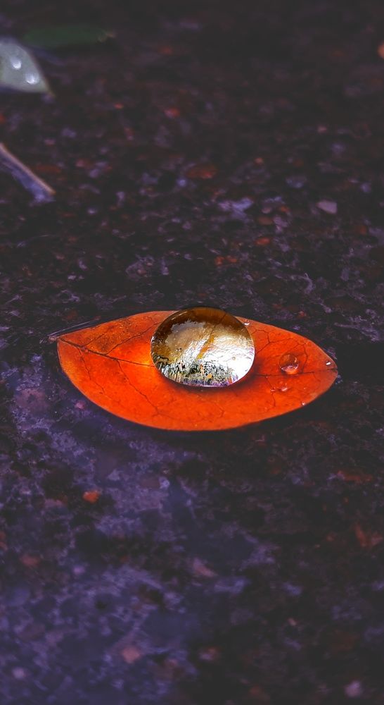 Photograph by Venkatesh Rao