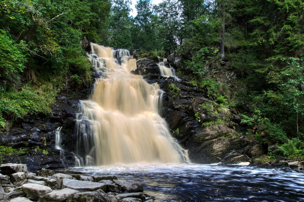 Фотография автора Сергей Расторгуев