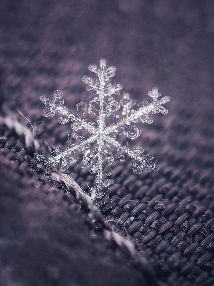 Photograph by Ирина Корабельникова