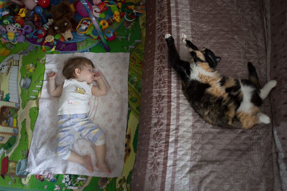 Photograph by Тамара Морозова