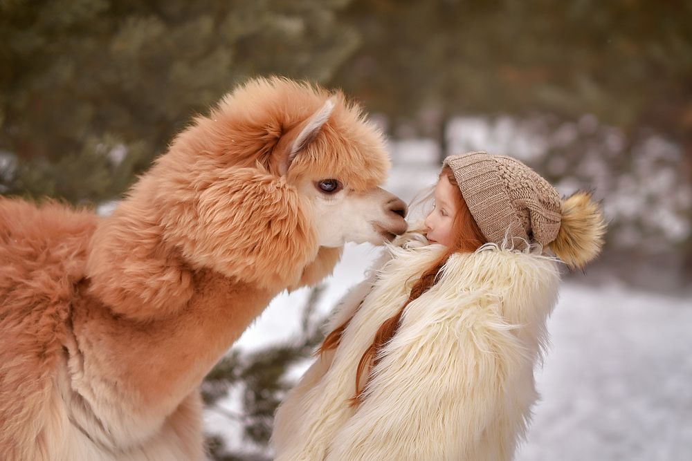 Photograph by Светлана Леонова