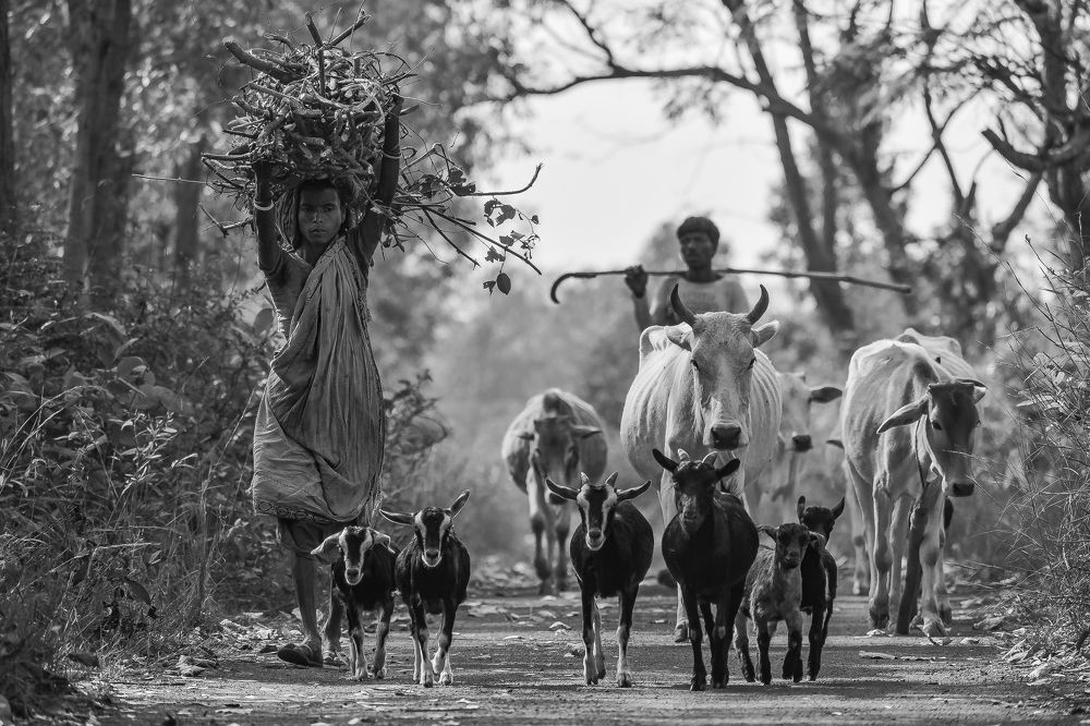 Photograph by Anirban Pan