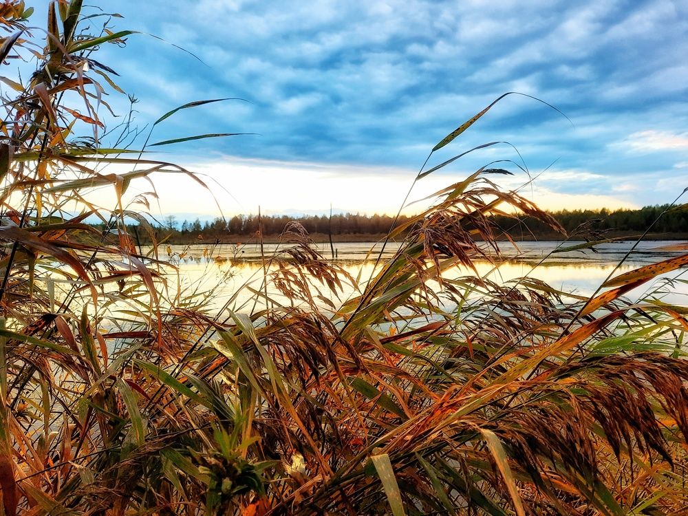 Photograph by Максим Попурий
