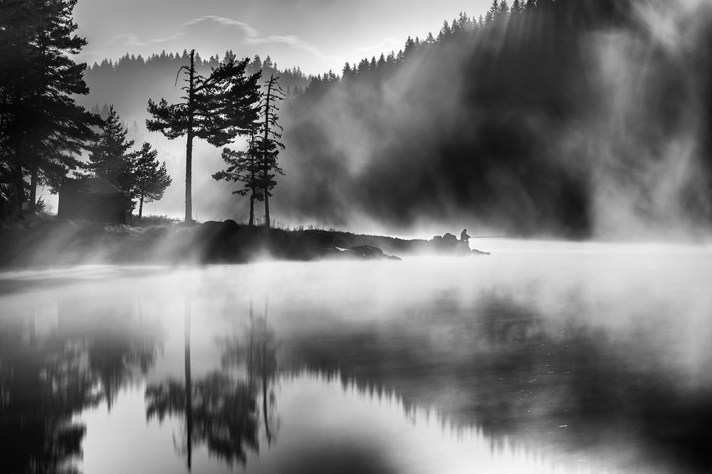 Morning of questions